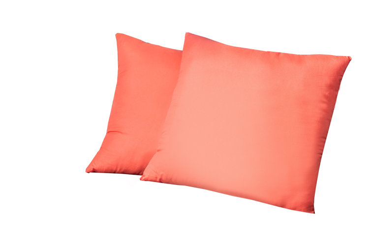 Coral throw hotsell pillows wayfair